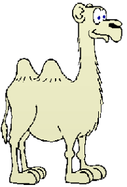 camel.gif